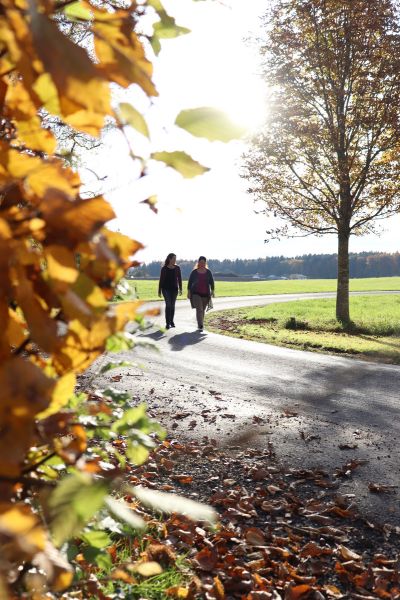Michi und Moni gehen gemeinsam einen sonnigen Weg in ihrer Heimat entlang